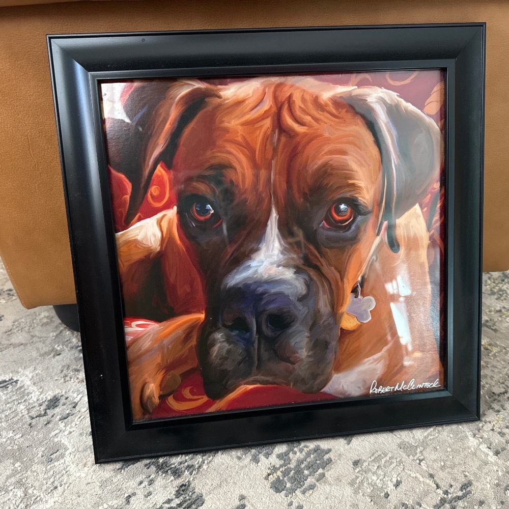 Robert McClintock Harry Boxer Framed Print